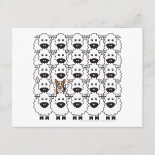 Postal Corgi en oveja