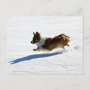 Postal Corgi Galés de la rebeca del vuelo