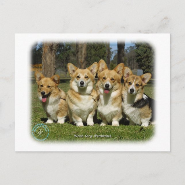 Postal Corgi galés (Pembroke) (Anverso)