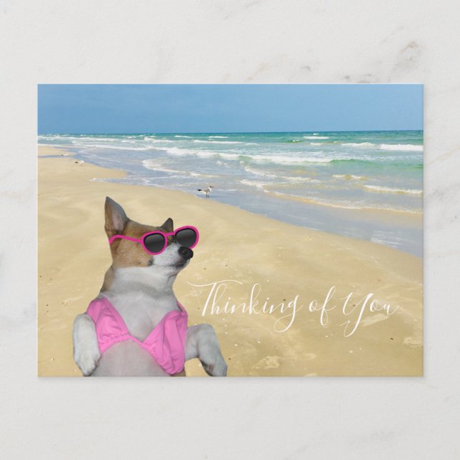 Postal Corgi gracioso en la playa de Bikini (Anverso)