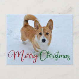 Postal Corgi navideño dulce con cola en foto de nieve