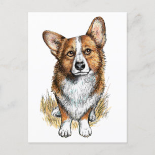 Postal Corgi y vacas
