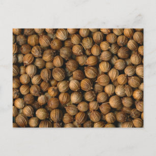 Postal Coriander