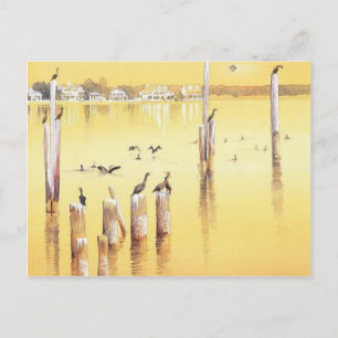 Postal "Cormorants" acuarelas de playa