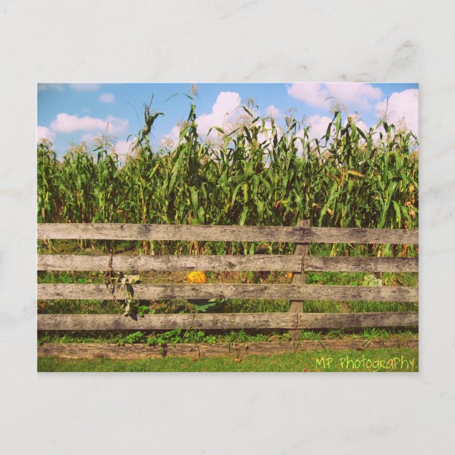 Postal Corn (Anverso)