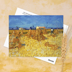 Postal Corn Harvest Provence Vincent van Gogh