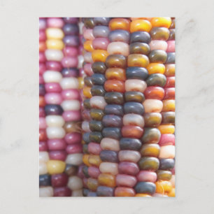 Postal Corn indio