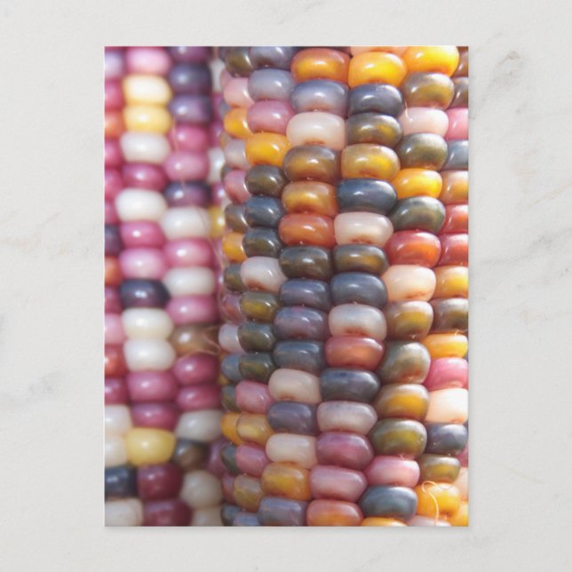 Postal Corn indio (Anverso)