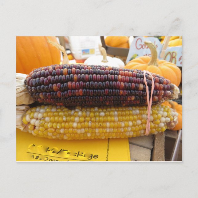 Postal Corn indio (Anverso)