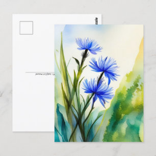 Postal Cornflower acuarela
