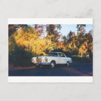 Coro Mercedes-Benz 220SEb 1965