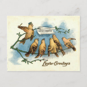 Postal Coro Songbird