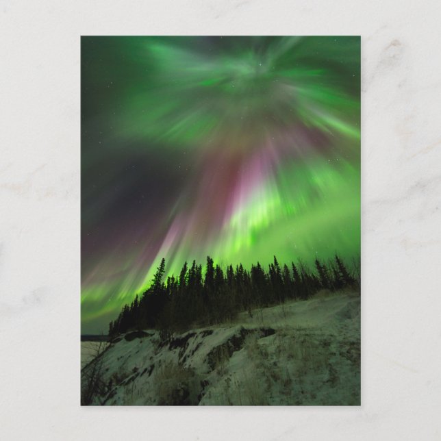 Postal Corona Aurora (Anverso)