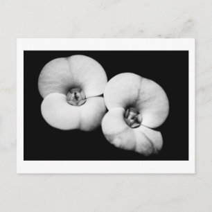 Postal corona de espinas