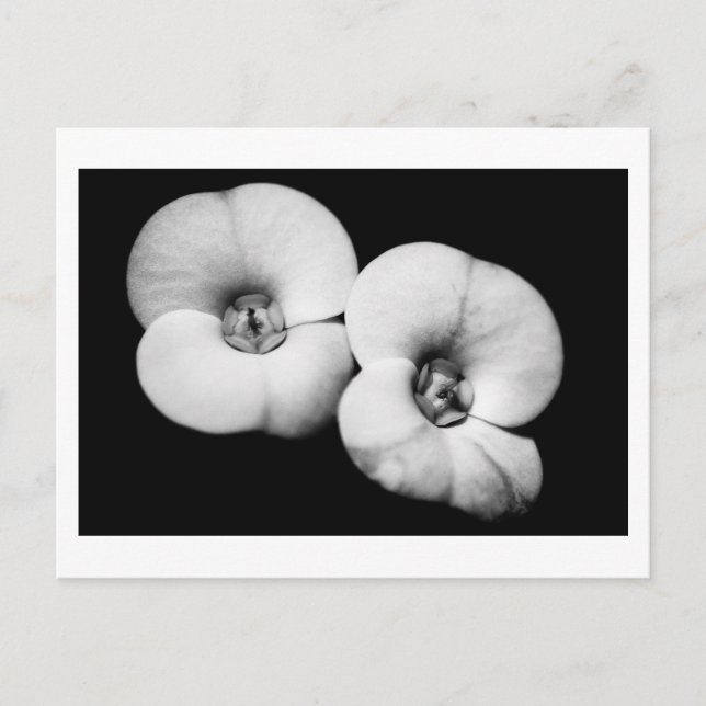 Postal corona de espinas (Anverso)