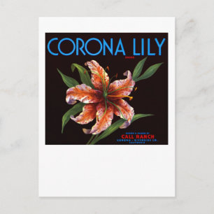 Postal Corona Lily
