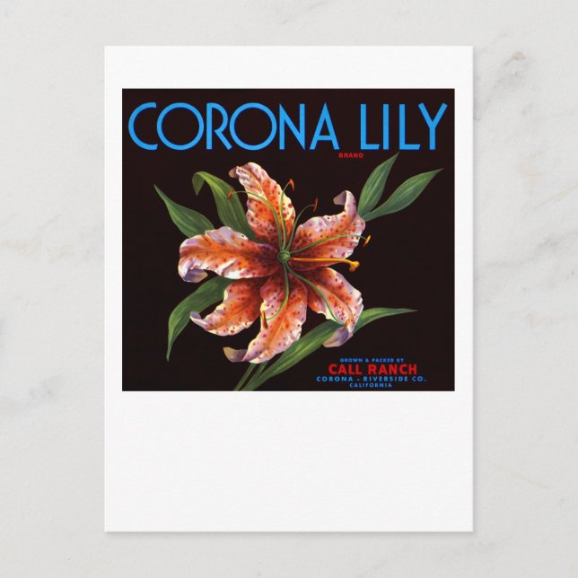 Postal Corona Lily (Anverso)