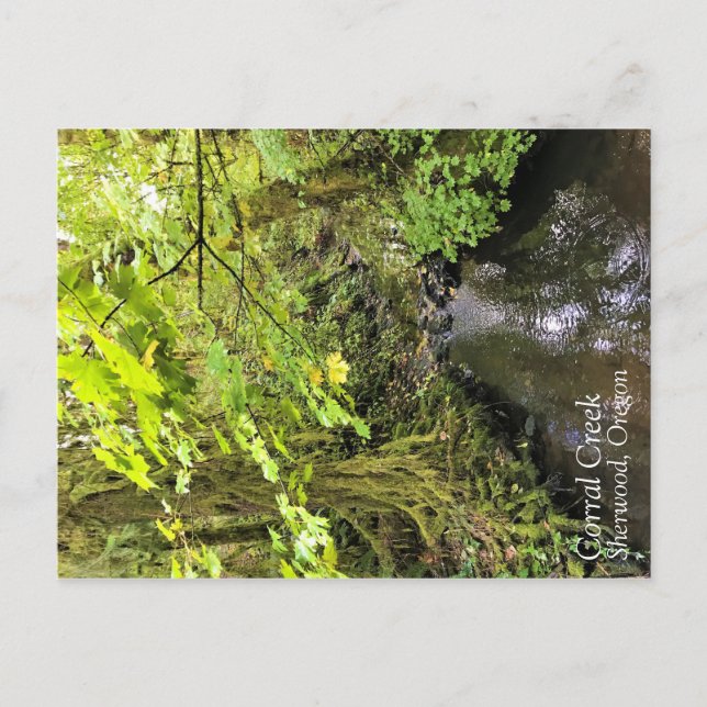 Postal Corral Creek (Anverso)