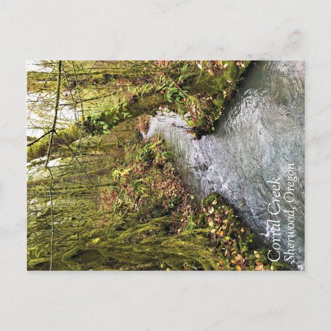Postal Corral Creek (Anverso)
