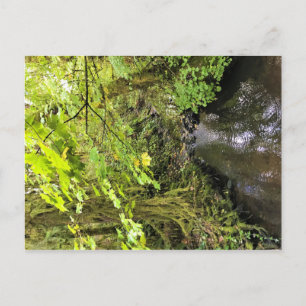 Postal Corral Creek