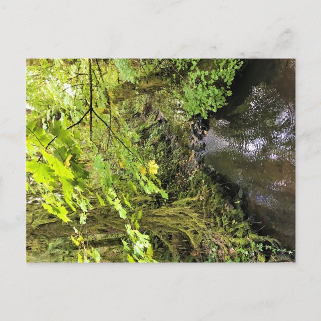 Postal Corral Creek (Anverso)