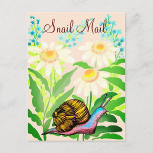 Postal correo colorido