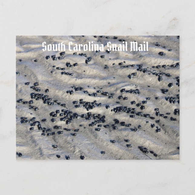 Postal Correo Snack 2 de Carolina del Sur (Anverso)