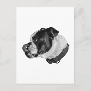 Postal Correo Tranquilo Bulldog