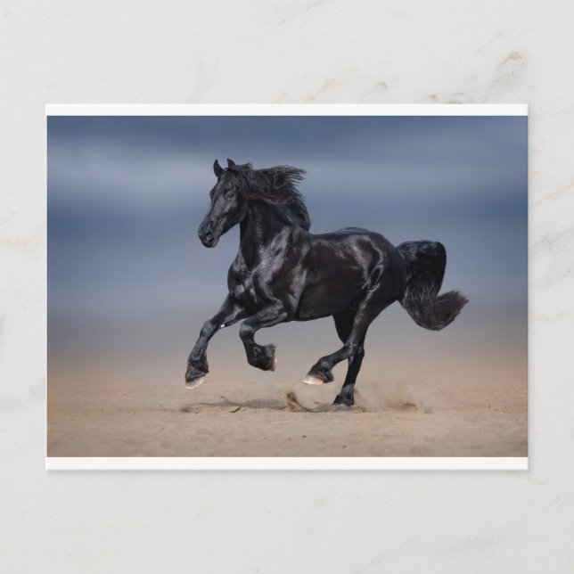 Postal Corriendo la playa (Anverso)