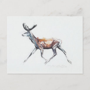 Postal Corriendo Stag en terciopelo Polsen 2006