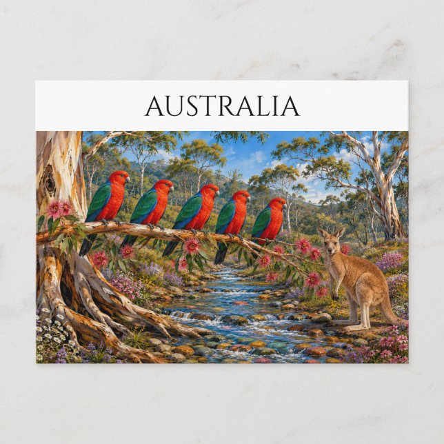Postal Corriente de Loros Rey Australia Recuerdo (Anverso)