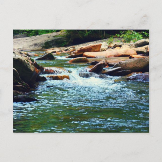Postal Corriente de Tennessee (Anverso)