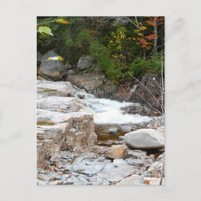 Postal Corriente rocosa de cascadas (Anverso)