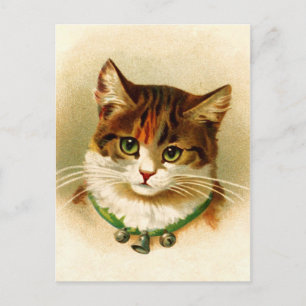 Postal Cortar el gatito con el collar del timbre