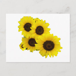 Postal Cortar girasoles