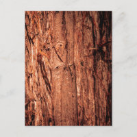 Corteza de árbol marrón rojizo con textura profund