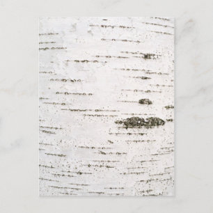 Postal Corteza de Birch