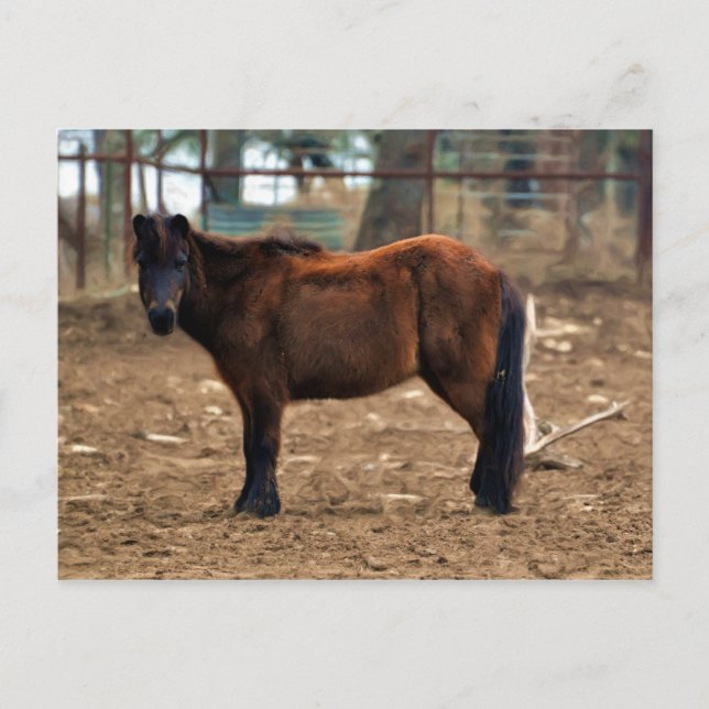 Postal Corto (Anverso)