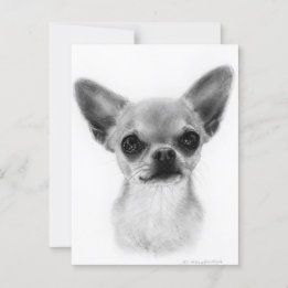 Postal Corto Chihuahua corto de mano arrastrado - Gentle 