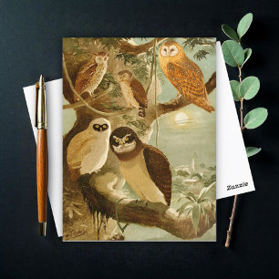 Postal Corujas (búhos), Emil August Göldi