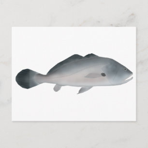 Postal Corvina de Plata Sudamericana