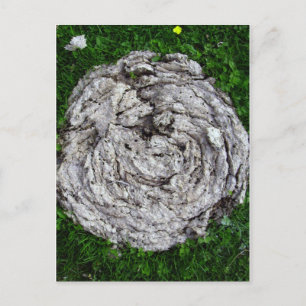 Postal Cosas de vaca