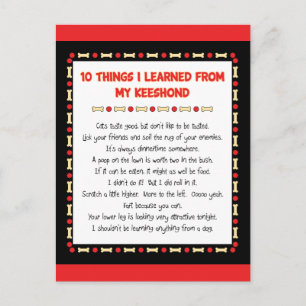 Postal Cosas divertidas que aprendí de mi Keeshond