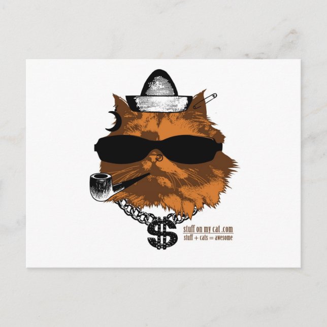 Postal Cosas en mi gato - 2 kewl (Anverso)