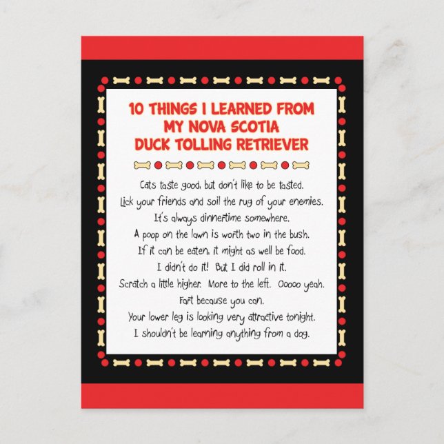 Postal Cosas Graciosas Aprendidas De Nova Scotia Duck Tol (Anverso)