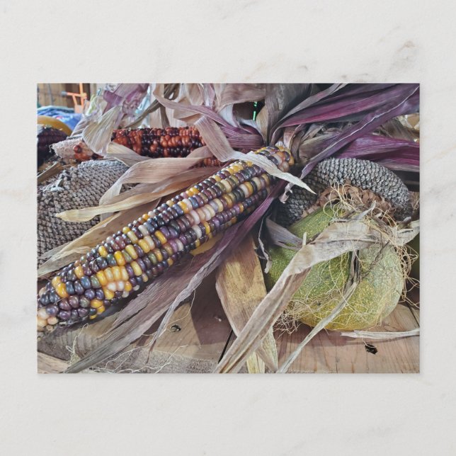 Postal Cosecha (Anverso)