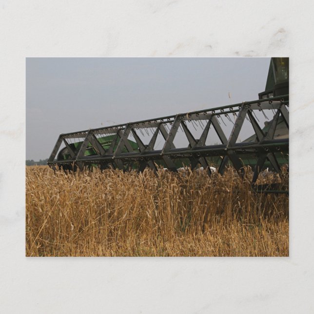 Postal Cosecha (Anverso)