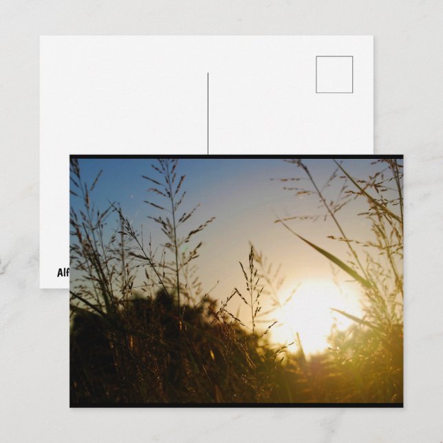 Postal Cosecha Amanecer (Anverso / Reverso)