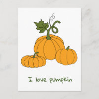 Cosecha de calabaza naranja romántica y linda