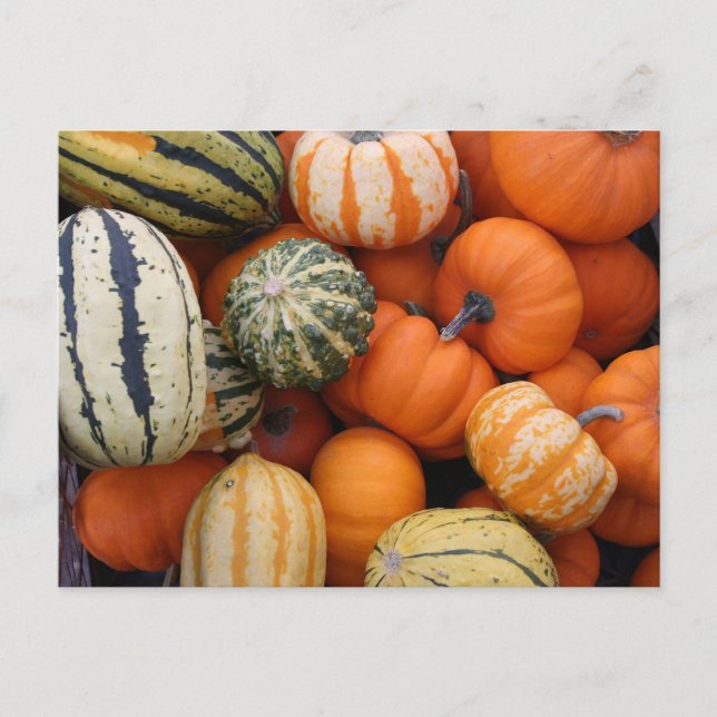 Postal Cosecha de cenizas de otoño (Anverso)